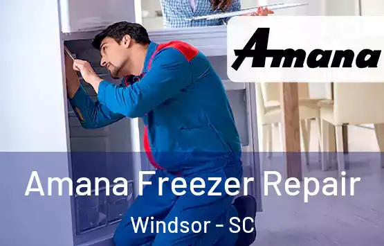  Amana Freezer Repair Windsor - SC