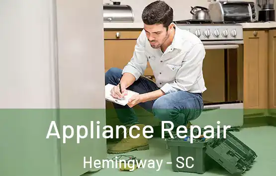  Appliance Repair Hemingway - SC