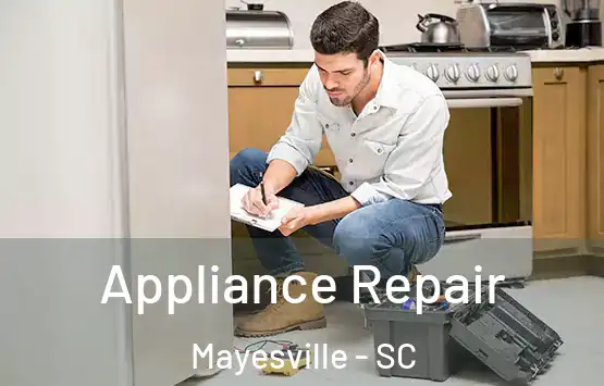  Appliance Repair Mayesville - SC