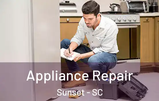 Appliance Repair Sunset - SC