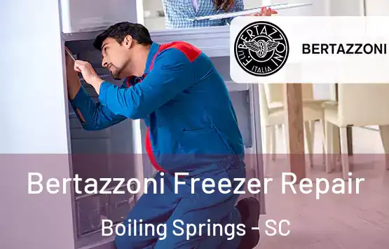  Bertazzoni Freezer Repair Boiling Springs - SC