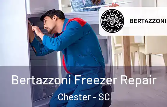  Bertazzoni Freezer Repair Chester - SC
