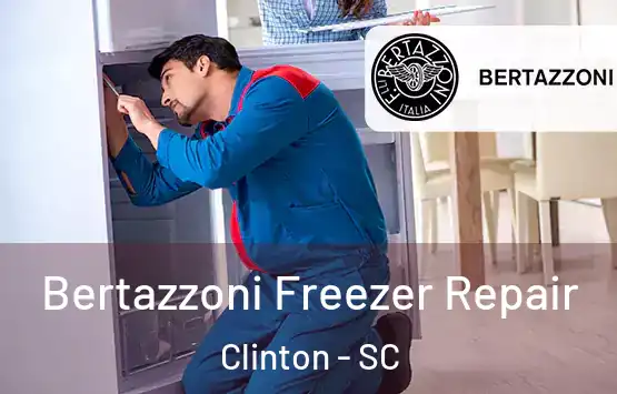  Bertazzoni Freezer Repair Clinton - SC