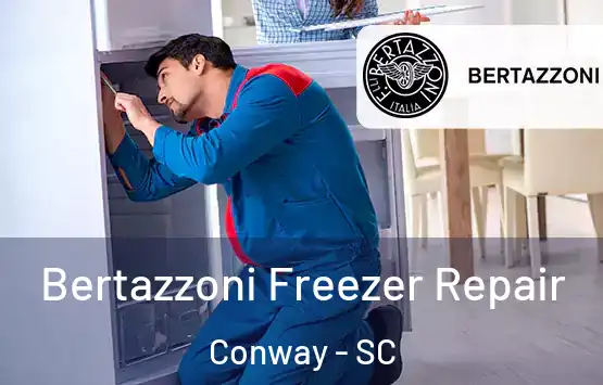  Bertazzoni Freezer Repair Conway - SC