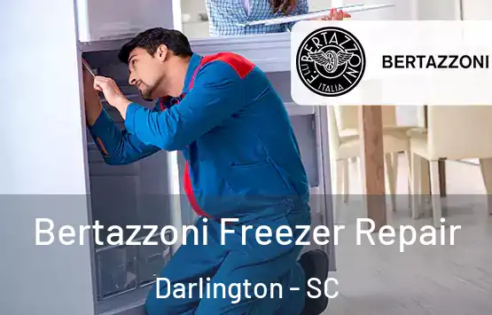  Bertazzoni Freezer Repair Darlington - SC
