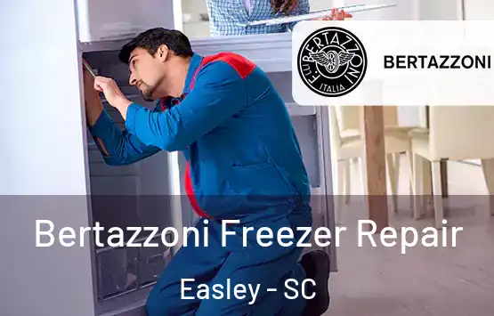  Bertazzoni Freezer Repair Easley - SC