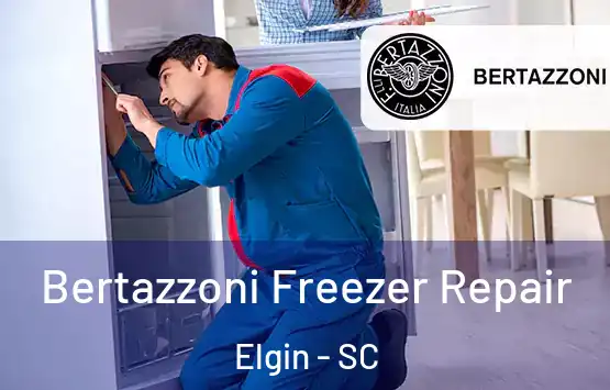  Bertazzoni Freezer Repair Elgin - SC