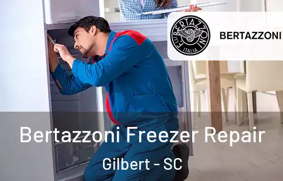  Bertazzoni Freezer Repair Gilbert - SC