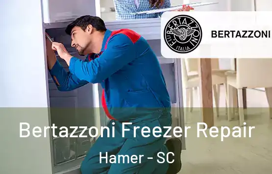  Bertazzoni Freezer Repair Hamer - SC