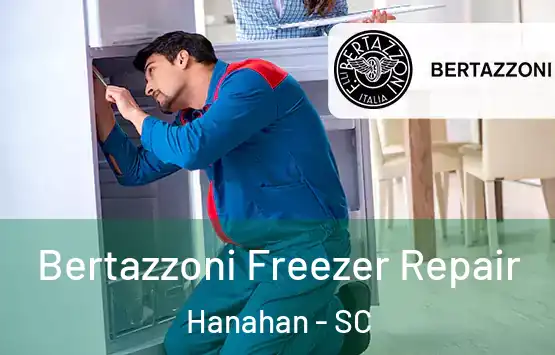  Bertazzoni Freezer Repair Hanahan - SC