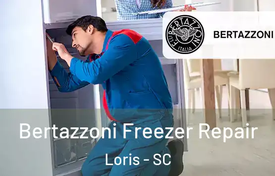  Bertazzoni Freezer Repair Loris - SC
