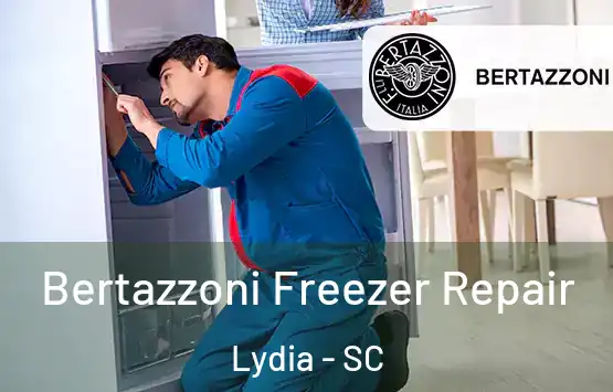  Bertazzoni Freezer Repair Lydia - SC