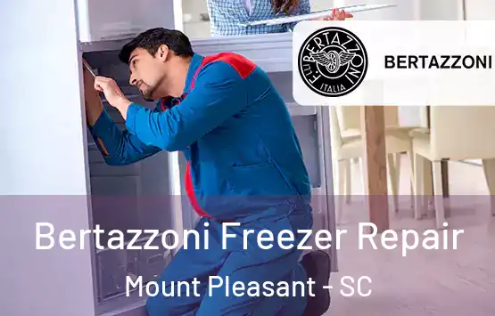  Bertazzoni Freezer Repair Mount Pleasant - SC