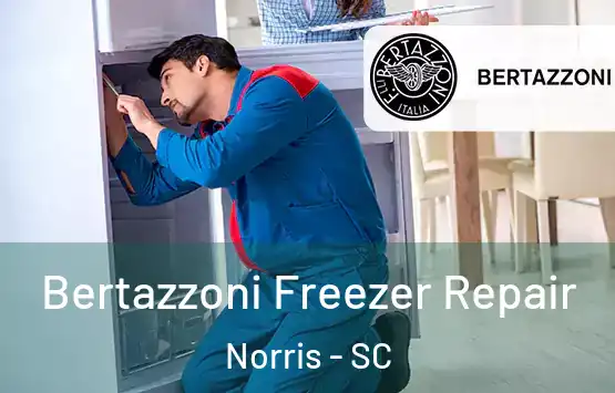  Bertazzoni Freezer Repair Norris - SC