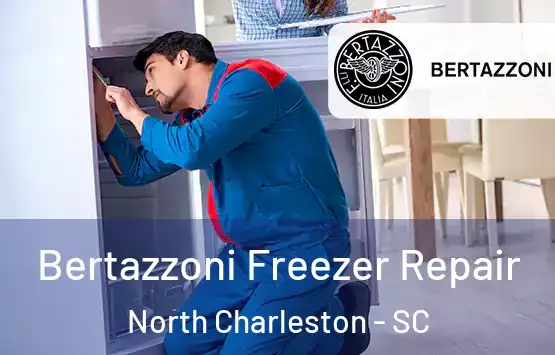  Bertazzoni Freezer Repair North Charleston - SC