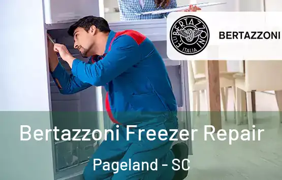  Bertazzoni Freezer Repair Pageland - SC