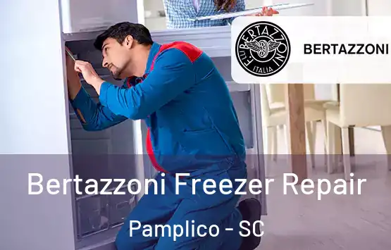  Bertazzoni Freezer Repair Pamplico - SC