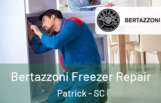  Bertazzoni Freezer Repair Patrick - SC