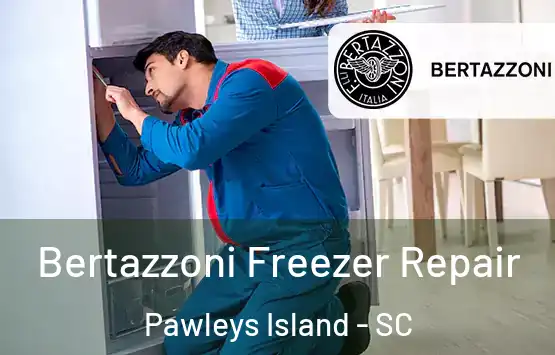  Bertazzoni Freezer Repair Pawleys Island - SC