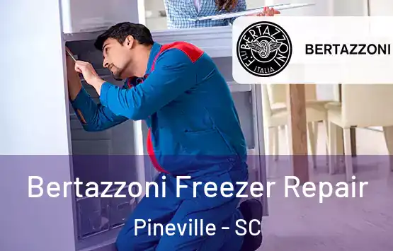  Bertazzoni Freezer Repair Pineville - SC