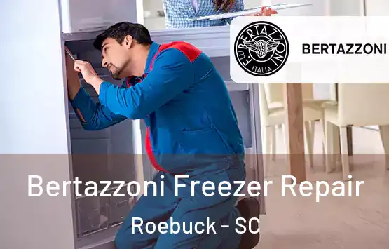  Bertazzoni Freezer Repair Roebuck - SC