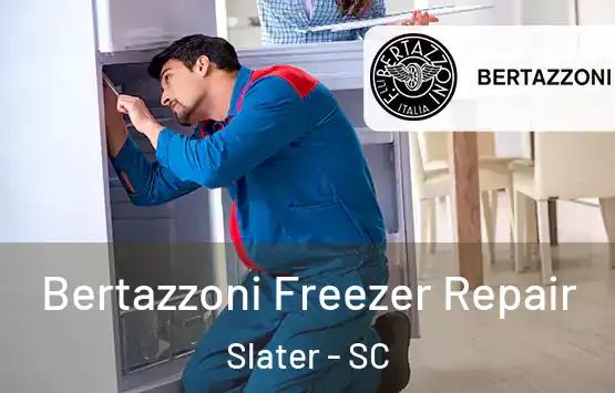  Bertazzoni Freezer Repair Slater - SC