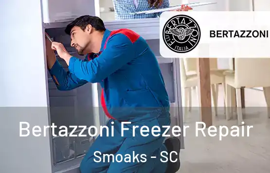  Bertazzoni Freezer Repair Smoaks - SC