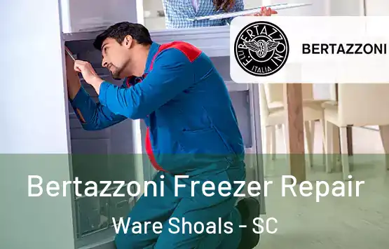  Bertazzoni Freezer Repair Ware Shoals - SC