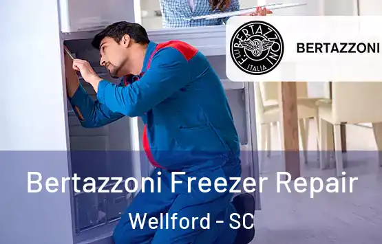  Bertazzoni Freezer Repair Wellford - SC