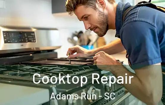  Cooktop Repair Adams Run - SC