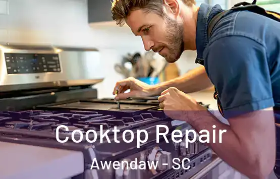  Cooktop Repair Awendaw - SC