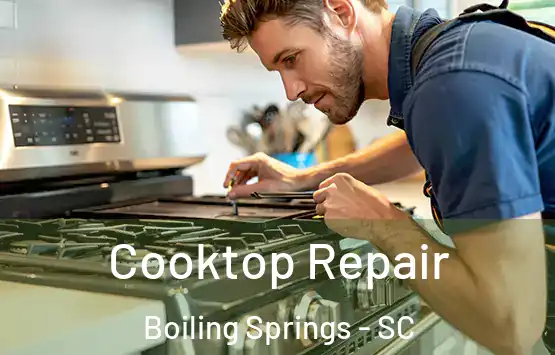  Cooktop Repair Boiling Springs - SC