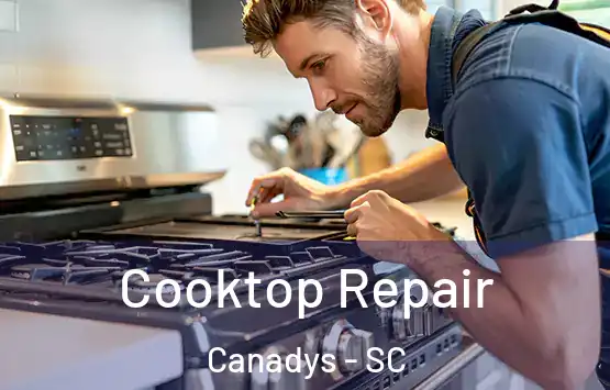  Cooktop Repair Canadys - SC