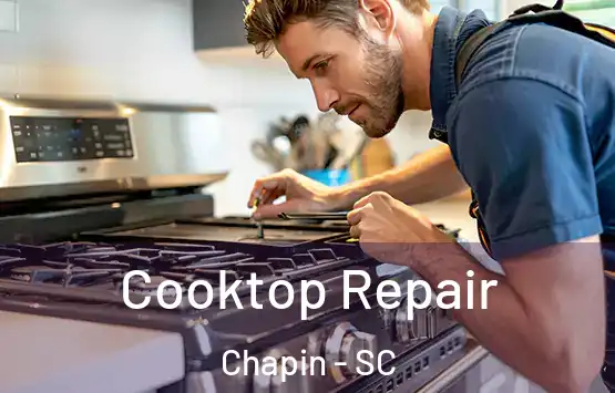  Cooktop Repair Chapin - SC