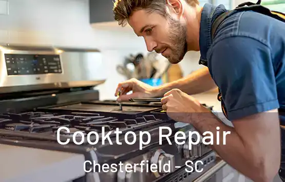  Cooktop Repair Chesterfield - SC