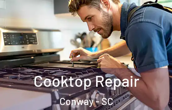  Cooktop Repair Conway - SC