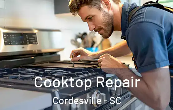  Cooktop Repair Cordesville - SC
