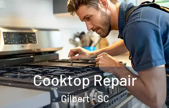  Cooktop Repair Gilbert - SC