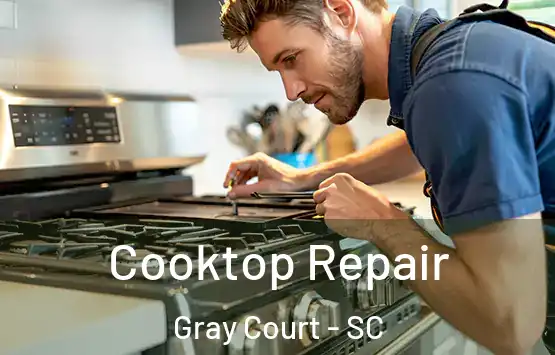  Cooktop Repair Gray Court - SC