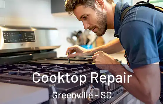  Cooktop Repair Greenville - SC