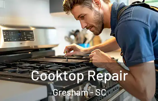  Cooktop Repair Gresham - SC