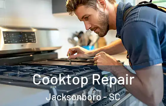  Cooktop Repair Jacksonboro - SC