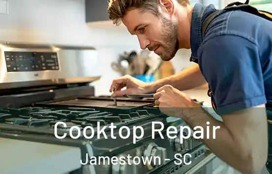  Cooktop Repair Jamestown - SC