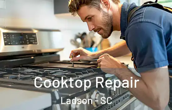  Cooktop Repair Ladson - SC