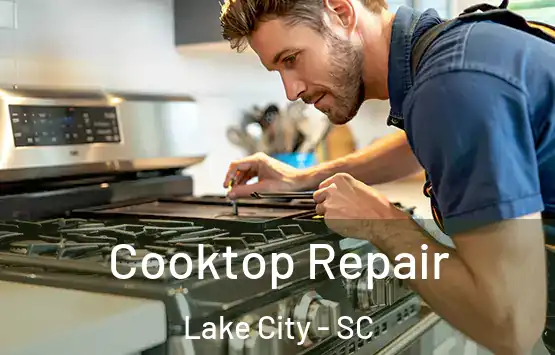  Cooktop Repair Lake City - SC
