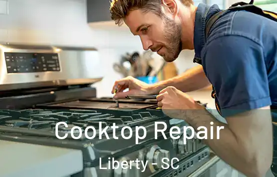  Cooktop Repair Liberty - SC