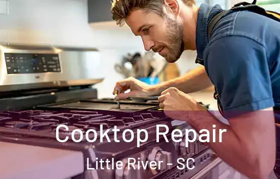  Cooktop Repair Little River - SC