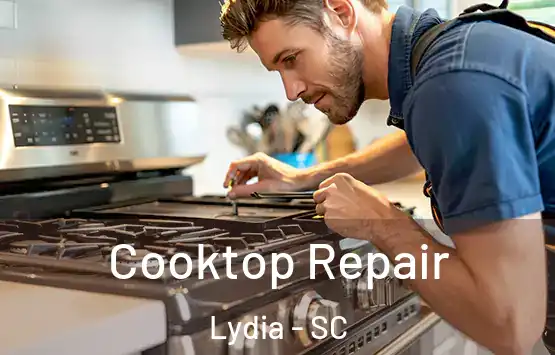  Cooktop Repair Lydia - SC