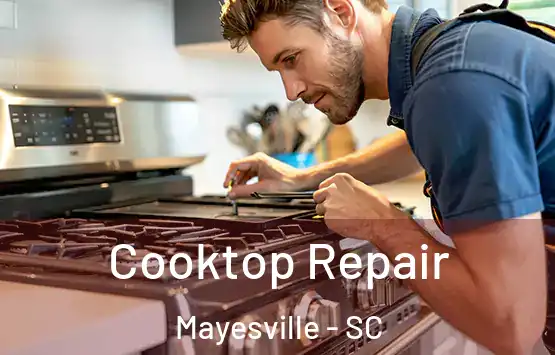  Cooktop Repair Mayesville - SC