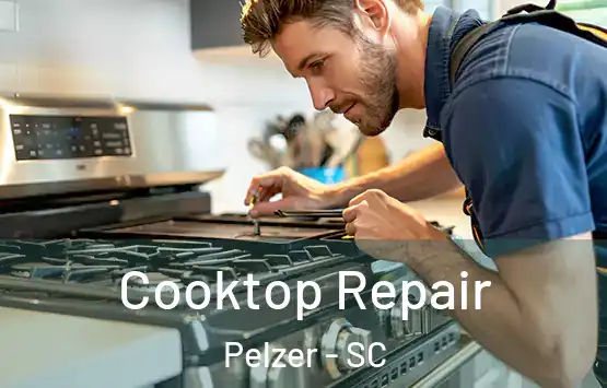  Cooktop Repair Pelzer - SC